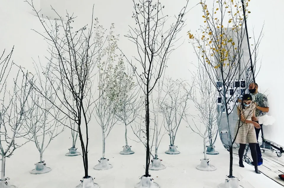 A camera operator films between the bare trees of the Louis Vuitton studio set.